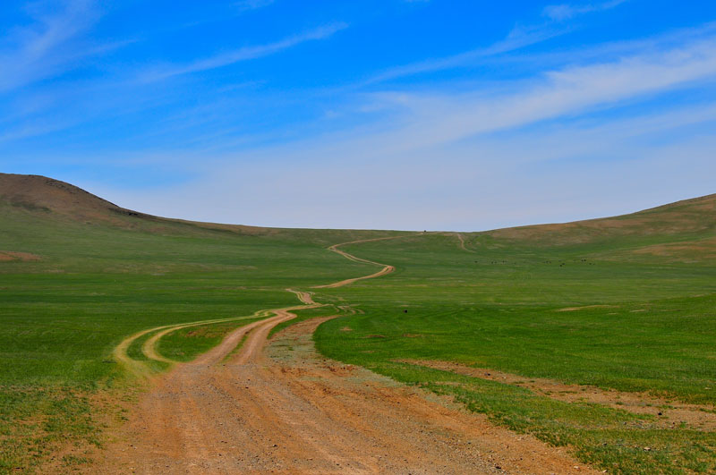 Mongolie